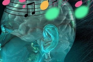 Não cũng phát ra âm nhạc