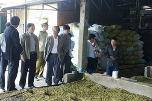 Cà phê mất mùa, rớt giá