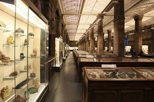 Xác định một loài mới kéo dài hàng chục năm