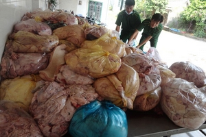 Phát hiện hơn 1,2 tấn phụ phẩm heo thối