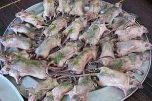 'Chợ chuột': Tấp nập bán mua, không ai quản lý!