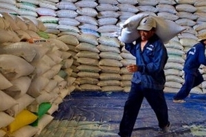 Việt Nam đã xuất khẩu 6,7 triệu tấn gạo năm nay
