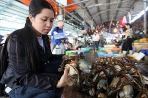 Cua gạch cũng bị bơm phoócmôn!