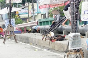 Gia cầm sống bày bán tràn lan