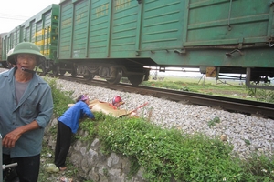 Xe máy kẹt đường ray, một phụ nữ thiệt mạng