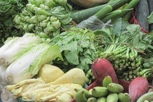 Rau quả vào mùa, giảm giá mạnh