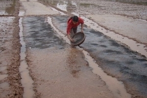 Tích cực chuẩn bị đổ ải vụ Đông Xuân 2012-2013