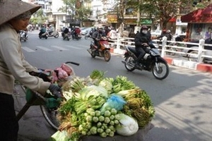 Lập đường dây buôn thực phẩm quê ra phố