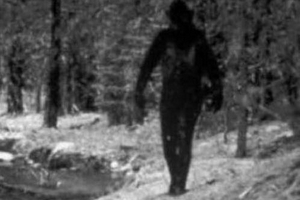 Thêm giả thuyết về người tuyết