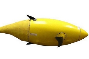 Mỹ phát triển tàu ngầm hình cá không người lái