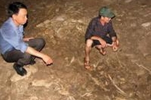 Phát hiện dấu vết con người ở gần hang Con Moong