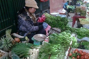 Trời lạnh, giá rau xanh tăng vọt