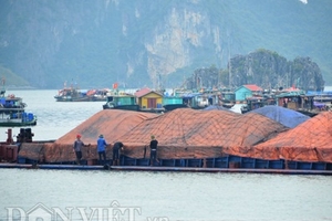 Bí thư thành ủy Hạ Long trực tiếp truy bắt 4 tàu than trái phép trên biển