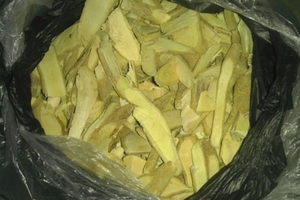 Người dân đi tìm cây ‘thần’ chữa được 5 loại ung thư