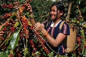 Nông dân có thể định đoạt giá nông sản