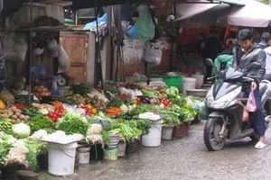 Lạnh tăng cường, rau xanh tăng giá