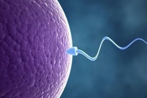 “Nghèo tinh trùng” đang thành bệnh dịch?