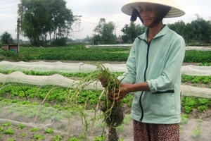 Miền Trung khô hạn giữa mùa mưa