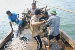 Cả dân tộc phải đứng bên ngư dân