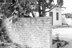 Tự tử vì không được giải quyết tranh chấp đất