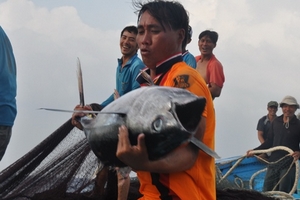 Cùng ngư dân mình ra khơi