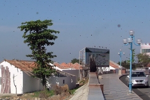 Truy chuyện xây dựng trái phép trên núi Lớn