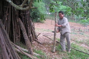 “Kỳ nhân 3 mắt” ở xứ Mường