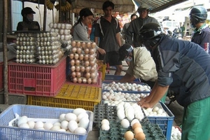 "Cấy" bệnh cho chồng vì mua "thần dược" trứng ung