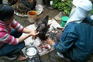 Giết mổ gia cầm, thu nhập... khủng