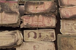 Một nông dân tìm thấy 500 tờ giấy bạc Cụ Hồ