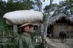 Sẽ giám sát chuyên sâu việc bình bầu hộ nghèo