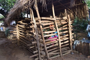 Một cô gái bị nhốt trong cũi suốt 3 năm