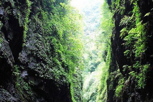 Kỳ bí những đám sương mù "giết người" ở thung lũng Tre Đen