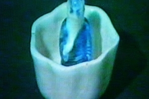 Bảo tàng lịch sử TP.HCM làm mất cổ vật quốc gia?