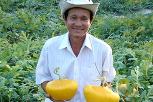 Tết Quý Tỵ: Đặc sản nông nghiệp vẫn đắt hàng