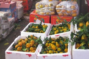 Quýt Trung Quốc đội lốt hàng Thái, tươi cả tuần