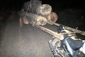 Ai bảo kê lâm tặc đưa gỗ ra khỏi Vườn Quốc Gia Vũ Quang?