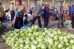 “Đánh” thực phẩm bẩn có trọng tâm