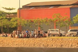 Trường gà 'tung hoành' trên đại lộ Võ Văn Kiệt