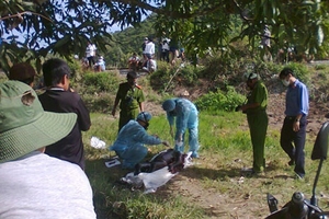 Bỏ chạy tán loạn khi thấy xác chết treo trên cây