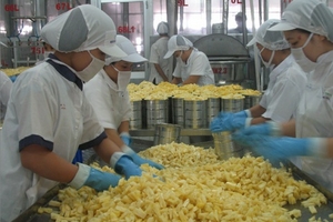 Việt Nam tiếp tục đứng đầu về xuất khẩu điều
