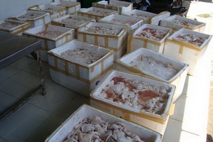 TP. Hồ Chí Minh: Đường đi của thịt bẩn