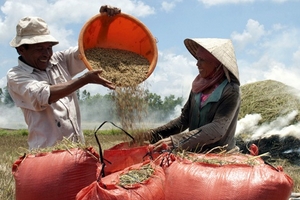 Nông nghiệp lập kỷ lục 48,5 triệu tấn