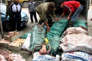 3 tấn trâu bò ôi thiu chuẩn bị tuồn vào quán ăn