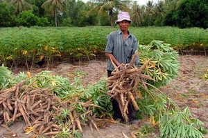 PVN tiếp tục lặp lại “điệp khúc”… chờ!