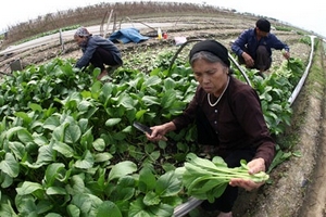 Không thể vô cảm với người yếu thế!