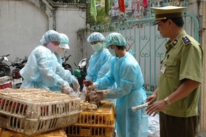 2 tháng cao điểm ngăn chặn nhập lậu gia cầm