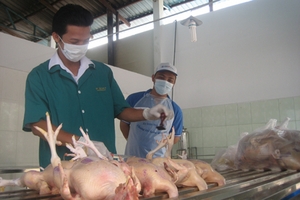 Dự đoán giá thực phẩm dịp Tết Nguyên đán