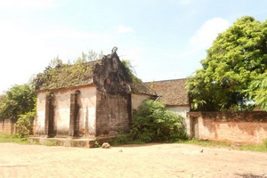 Báu vật của làng: Huyền tích đình thần và cây thị nghìn tuổi