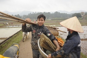 “Đội rét” xuống đồng